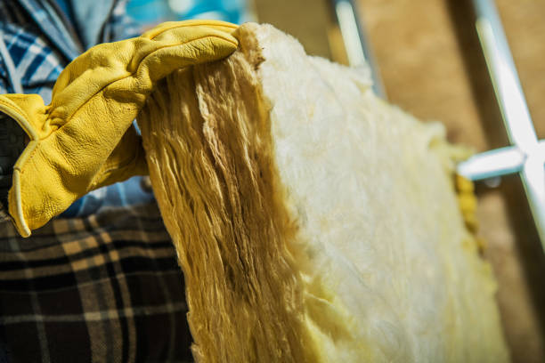 Best Insulation Maintenance and Repair in Lewisburg, TN