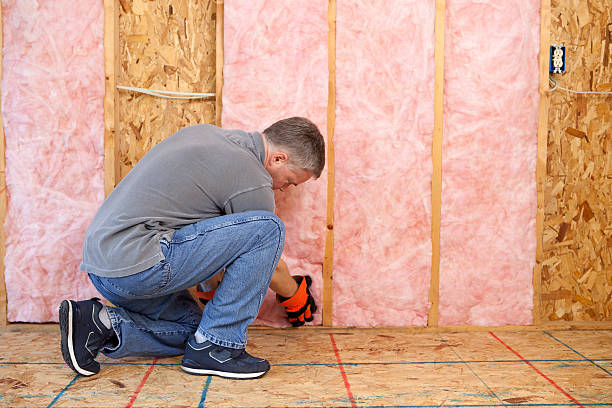 Best Insulation for Specific Applications in Lewisburg, TN
