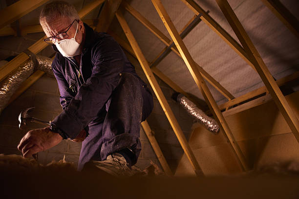 Best Insulation Materials and Products in Lewisburg, TN