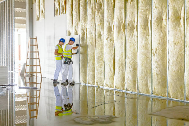 Best Insulation Installation Services in Lewisburg, TN